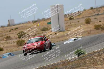 media/May-03-2025-Lucky Dog Racing (Sat) [[206de64b9d]]/Turn 6 (150pm-230pm)/